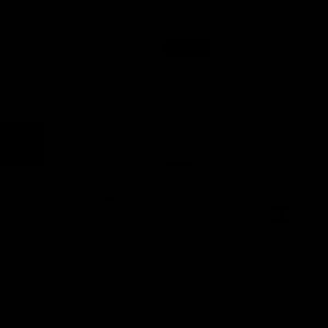 Meet your Posher, Chionna